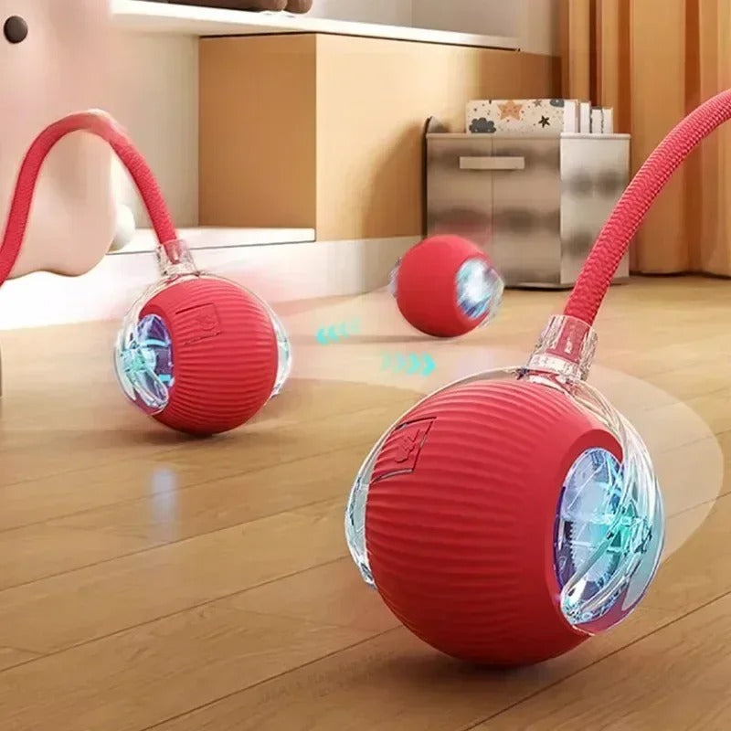 RolliTail Active Rolling Ball