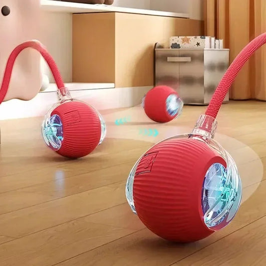 RolliTail Active Rolling Ball